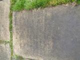 image of grave number 956884